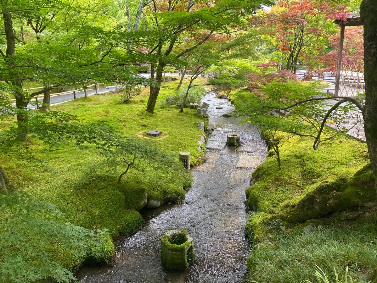 永観堂禅林寺の青もみじと苔