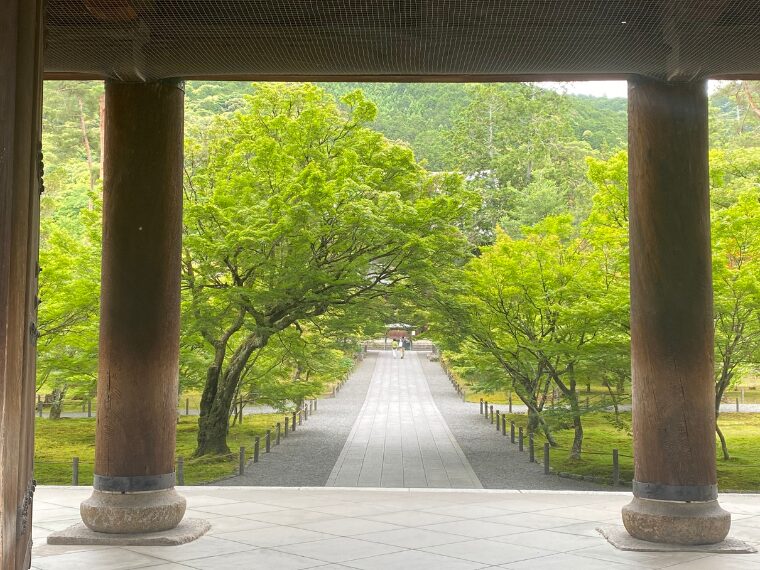 南禅寺三門から見た青もみじ