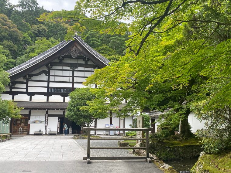 青もみじ美しい南禅寺方丈