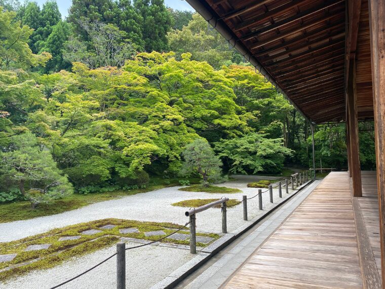 天授庵の青もみじ美しい庭園
