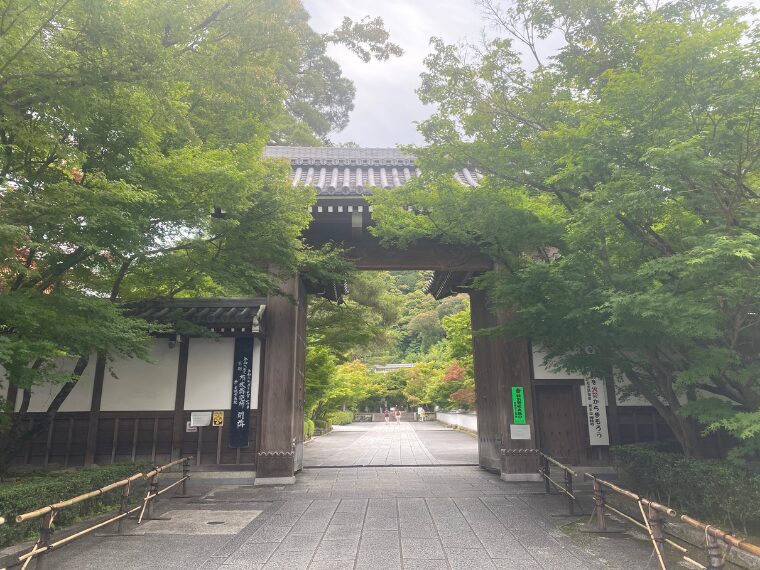 永観堂禅林寺の総門から見える青もみじ