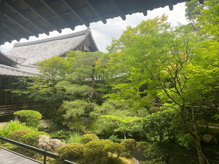 永観堂禅林寺の渡り廊下から見た中庭