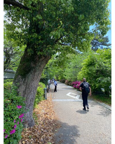 宇治川沿いの散策路