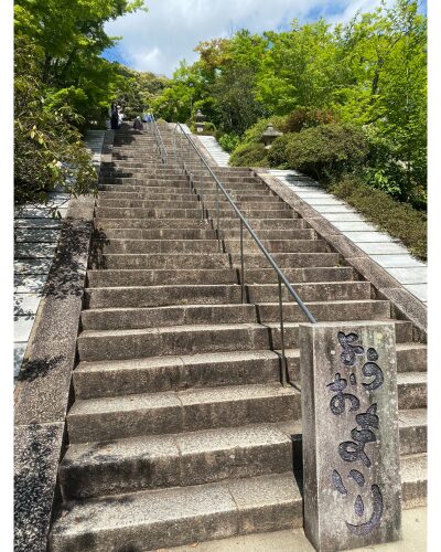 三室戸寺の本堂へ続く石段