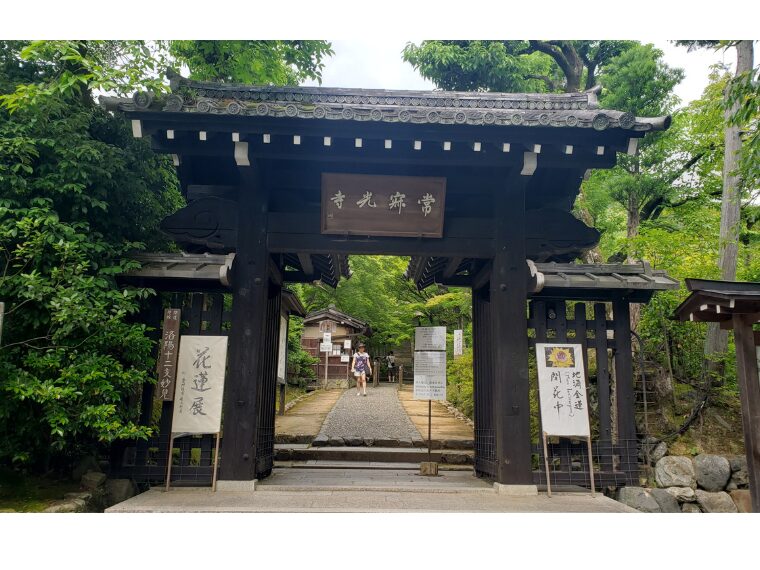 常寂光寺の山門