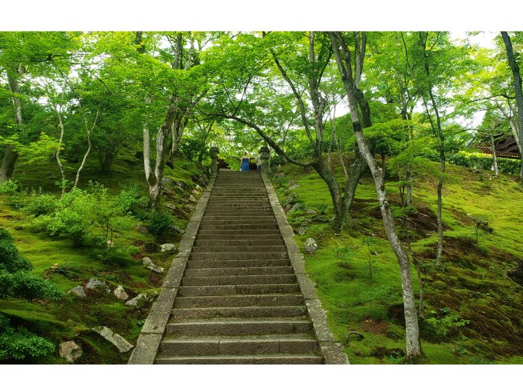 常寂光寺の本堂へ続く石段