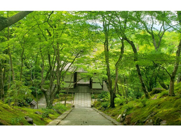 常寂光寺の仁王門への石段