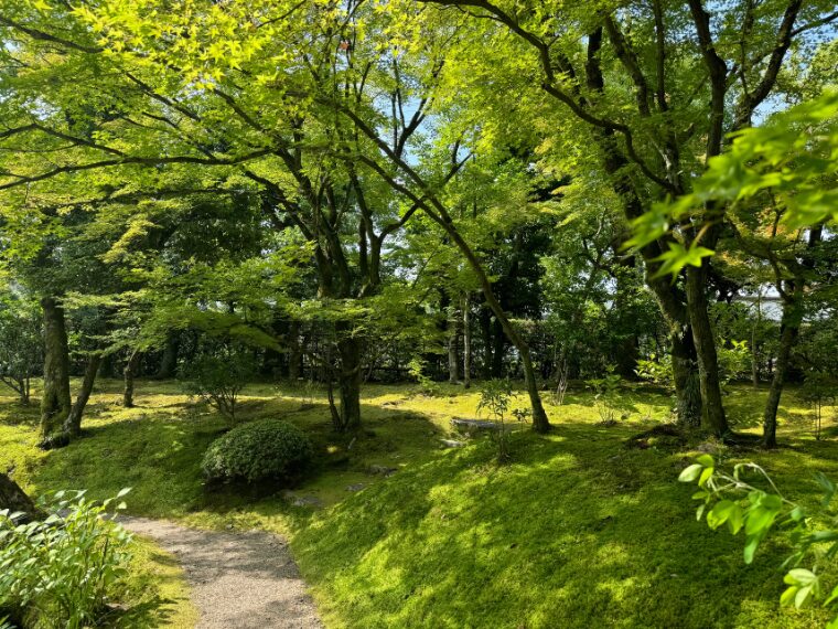 法金剛院の庭園