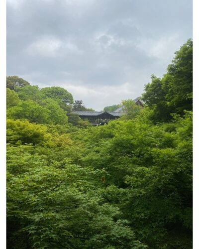 東福寺の臥雲橋からの眺め