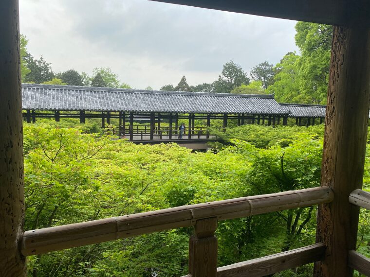 東福寺方丈の通天台からの眺め