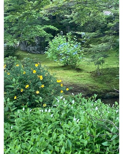 宝厳院の庭園