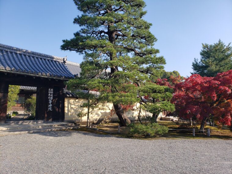 紅葉時期の等持院入口