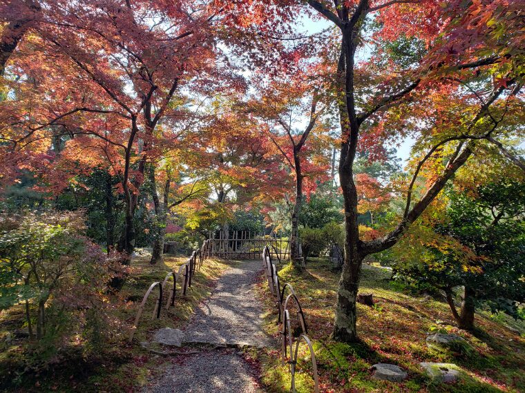 紅葉時期の等持院