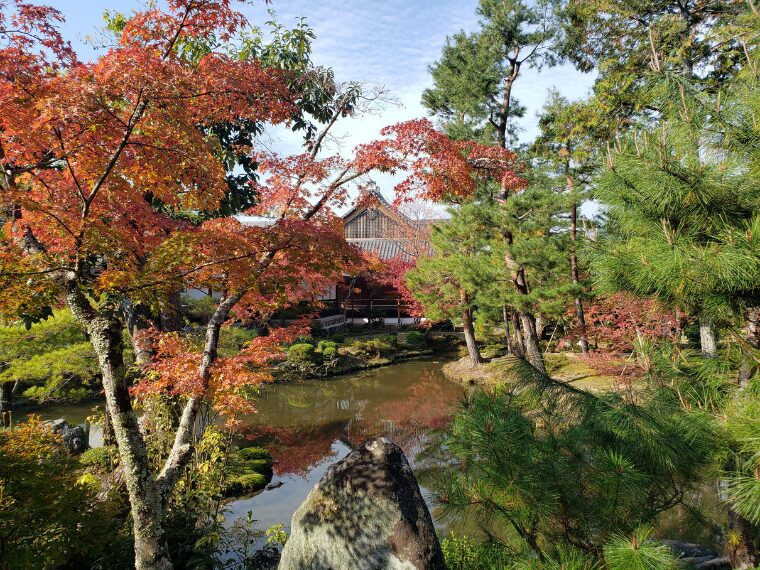 紅葉時期の等持院