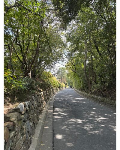 泉涌寺総門からの道
