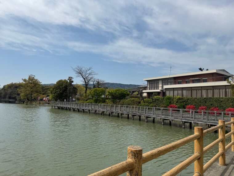 長岡天満宮の八条ヶ池