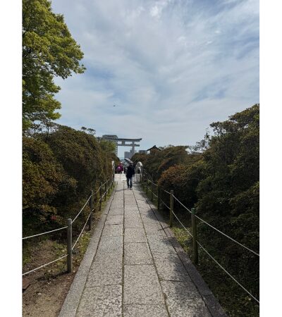 長岡天満宮のキリシマツツジの参道
