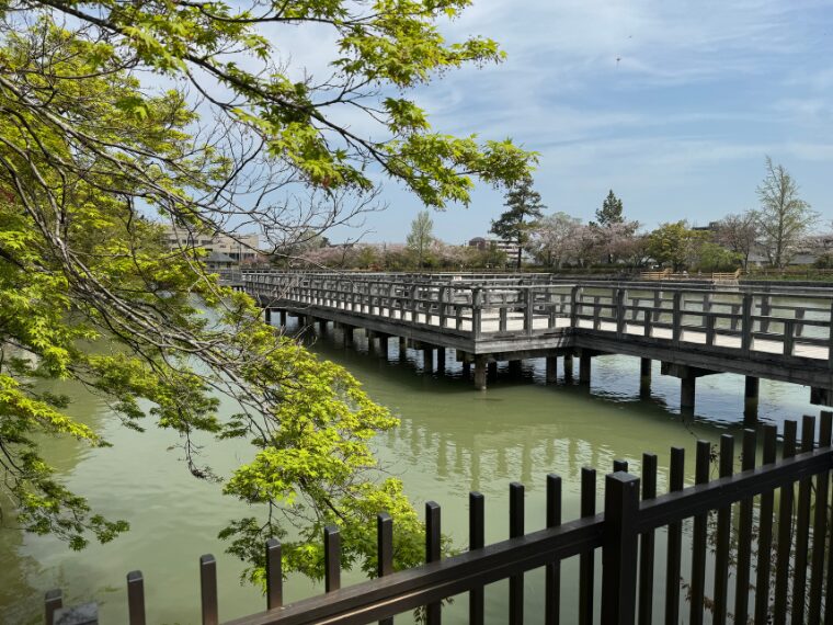 長岡天満宮の八条ヶ池