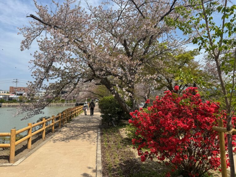八条ヶ池の散策道