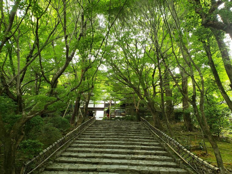 龍安寺庫裡へ続く石段