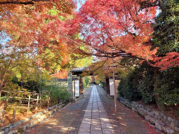 紅葉時期の龍安寺入り口