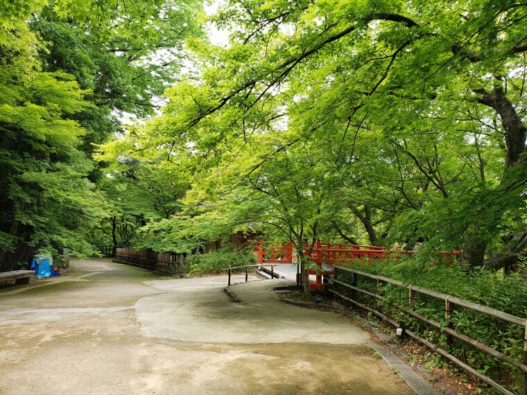 北野天満宮青もみじ苑