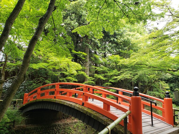 北野天満宮青もみじ苑