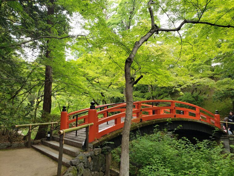 北野天満宮の青もみじ苑