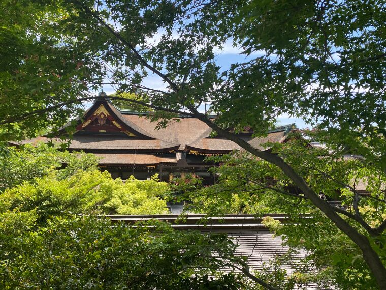 北野天満宮の青もみじ苑から見るご本殿
