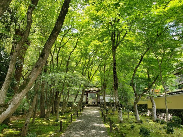 地蔵院の総門へ続く道