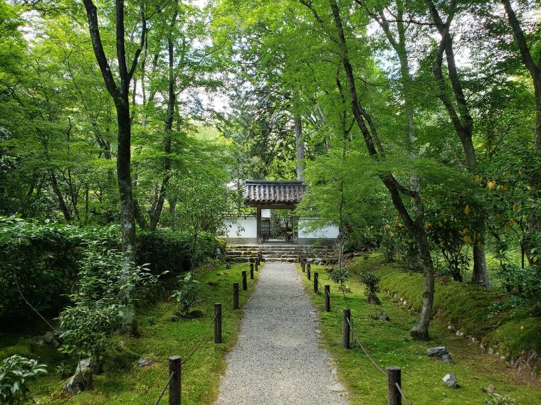 地蔵院の方丈へ続く道
