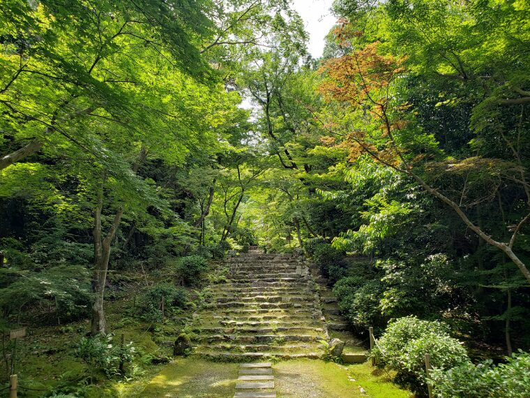 浄住寺の本堂へ続く石段