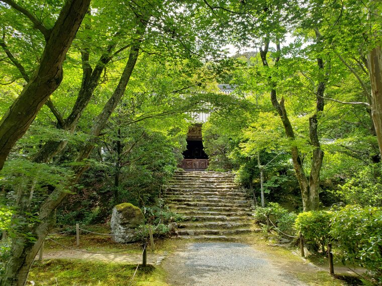 浄住寺の本堂へ続く石段