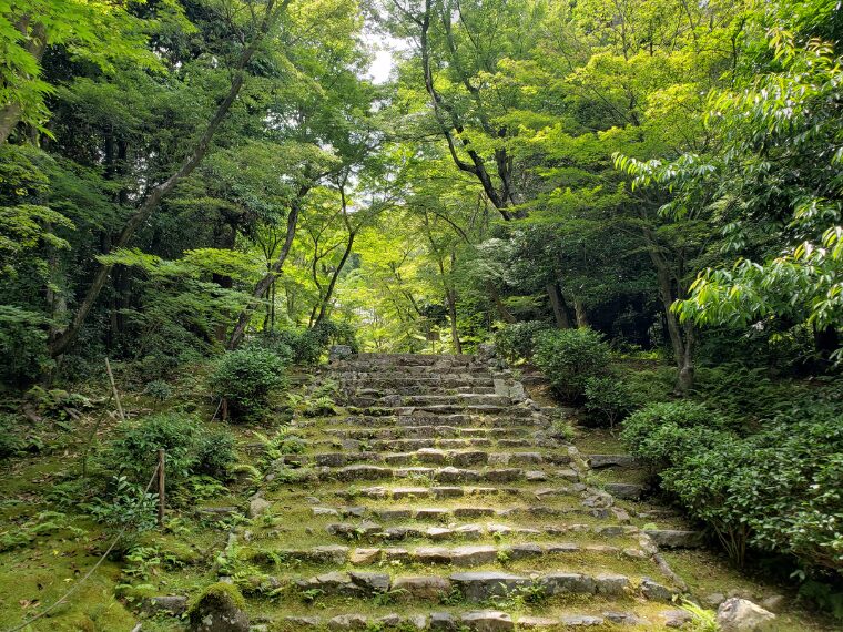 浄住寺の石段
