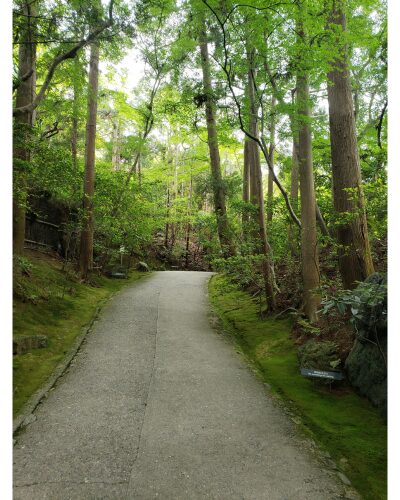 大河内山荘入口