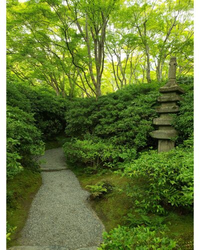 大河内山荘の庭園