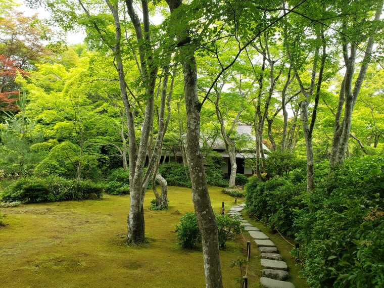 大河内山荘の庭園