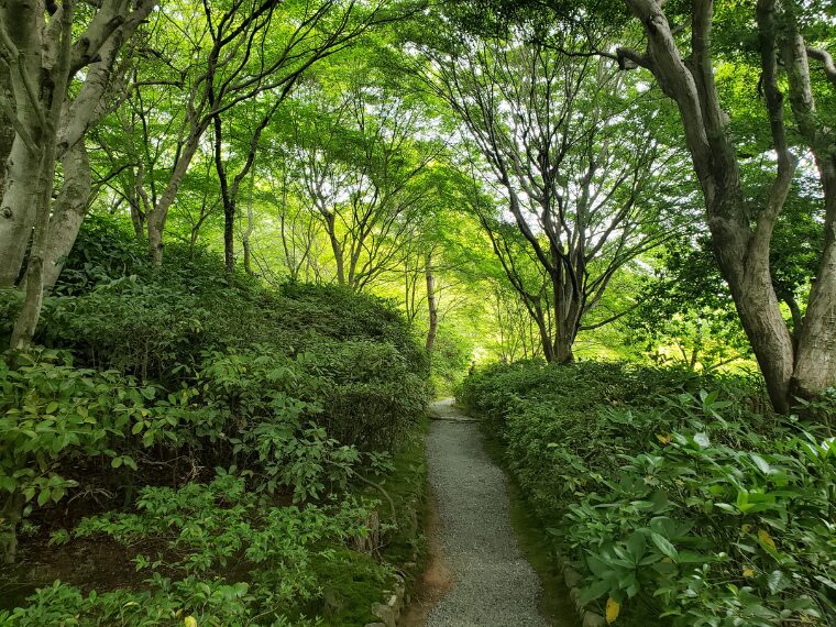 大河内山荘の庭園