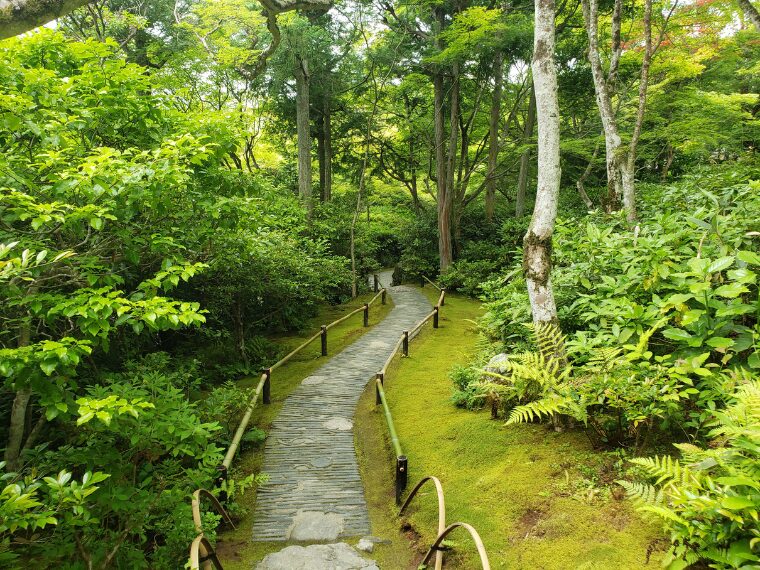 大河内山荘の庭園