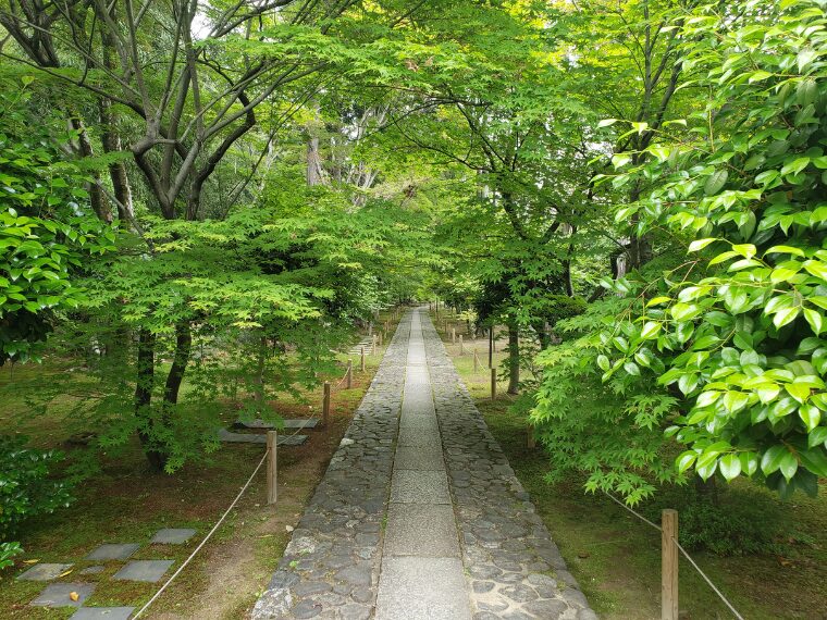 鹿王院の参道
