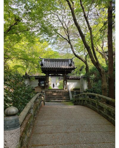 来迎院山門