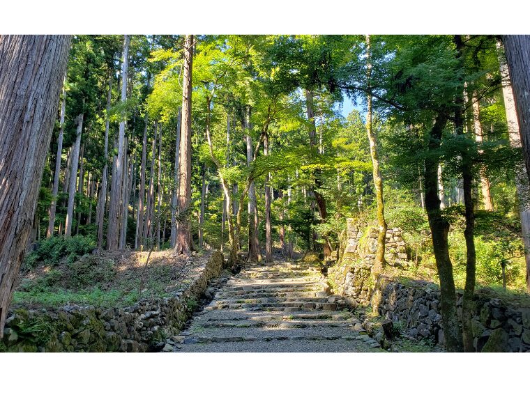 高山寺境内