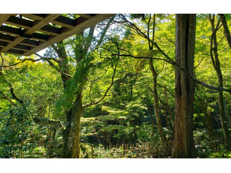 高山寺の石水院