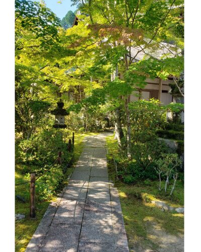 西明寺の本堂へ続く道