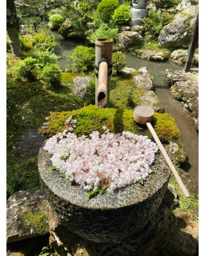楊谷寺