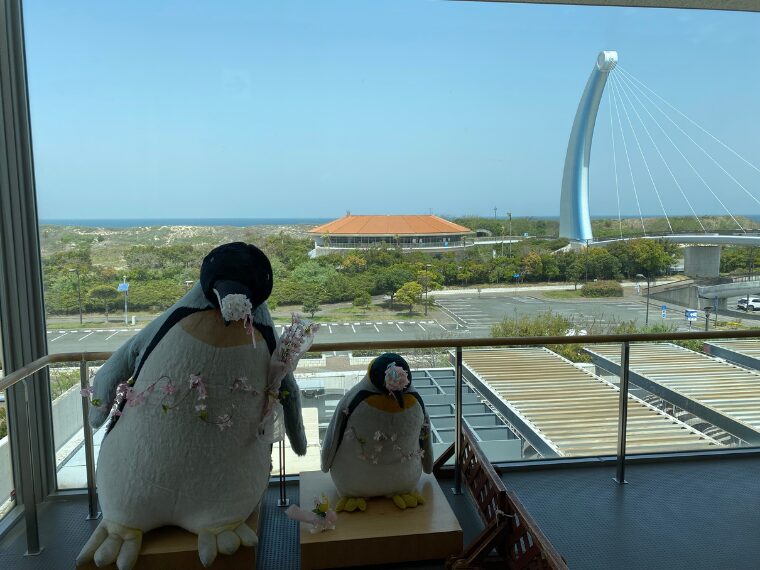 しまね海洋館アクアス