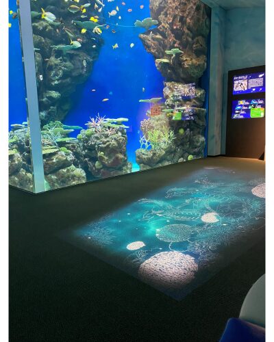 しまね海洋館アクアス