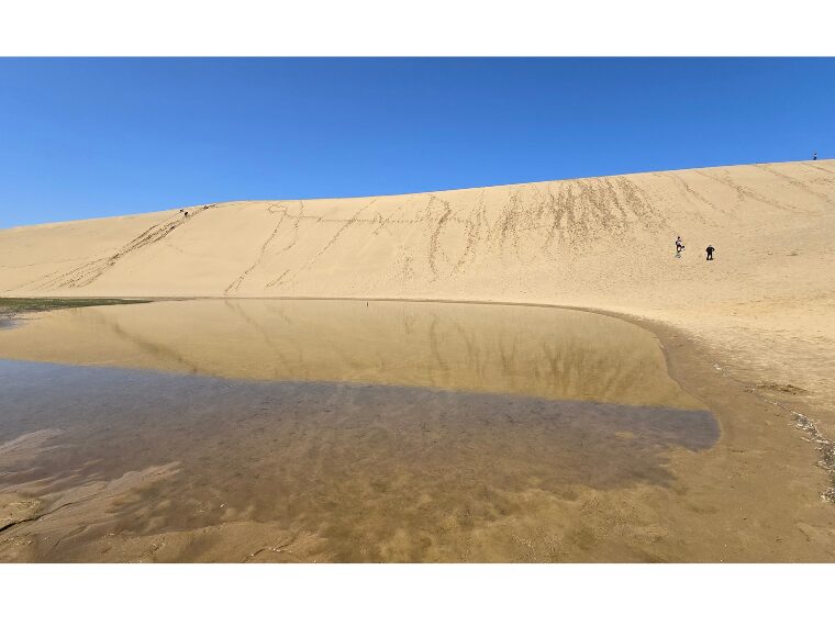 鳥取砂丘オアシス