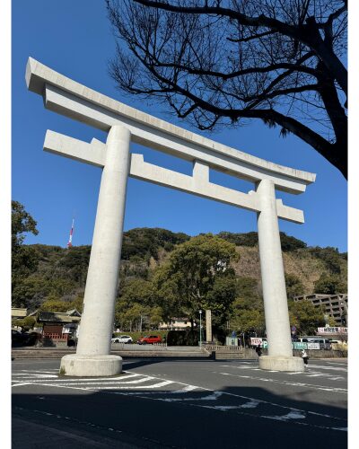 照国神社の鳥居