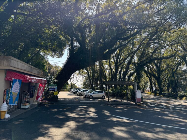 城山展望台バス停